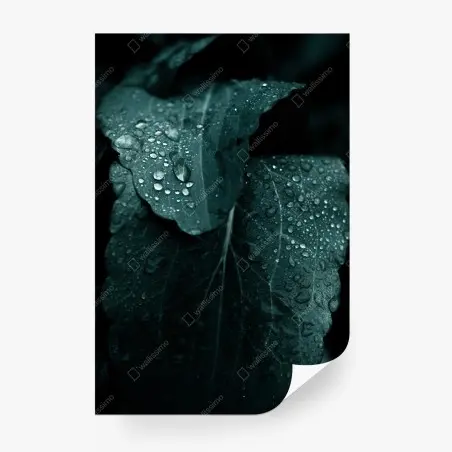 Wall mural teal dewdrops on leaves • Wallissimo®