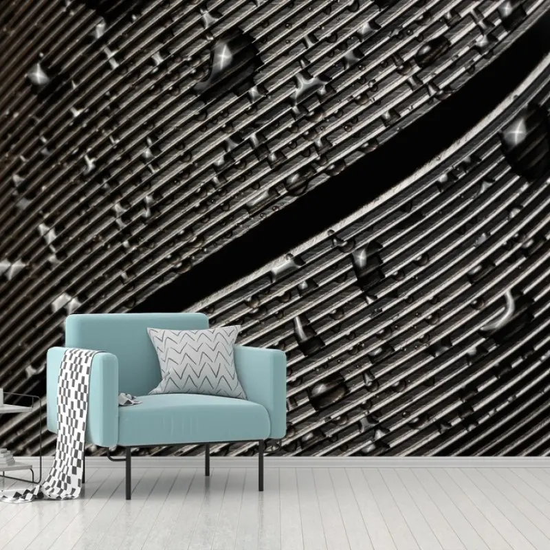 Wall mural monochrome feather with water droplets