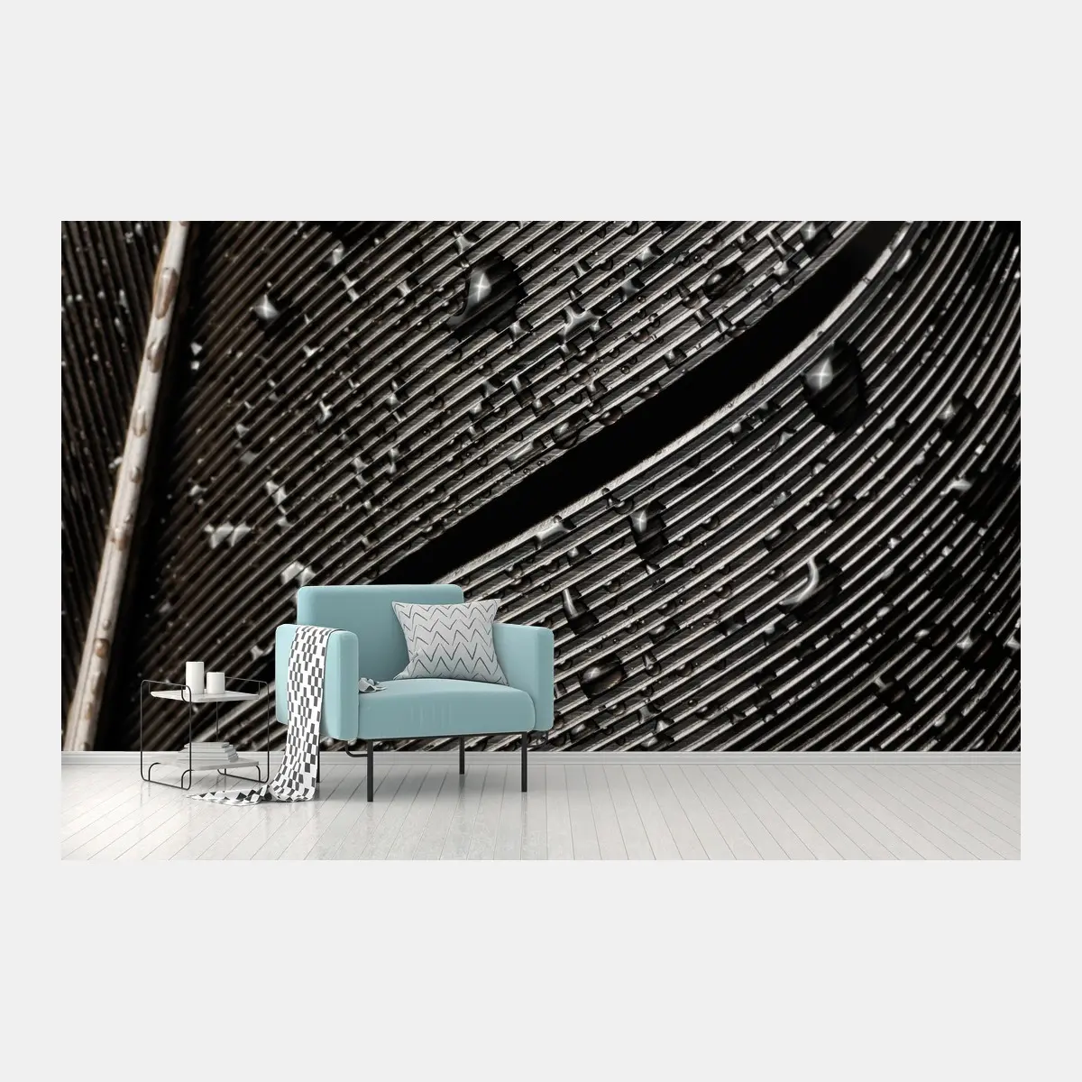 Wall mural monochrome feather with water droplets • Wallissimo®