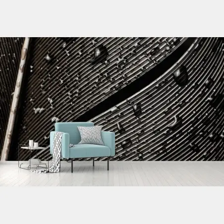 Wall mural monochrome feather with water droplets • Wallissimo®