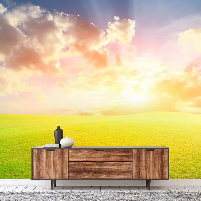 Wall mural sunlit meadow at sunset