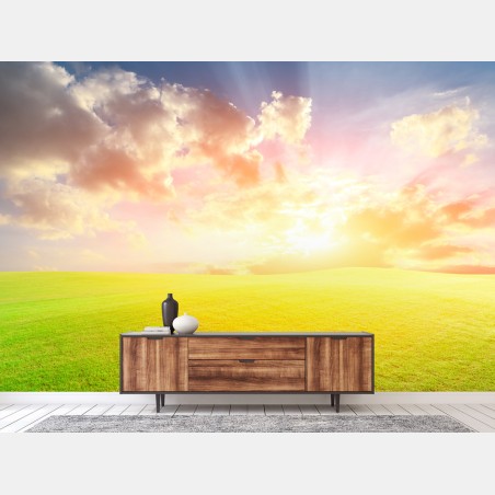 Wall mural sunlit meadow at sunset • Wallissimo®