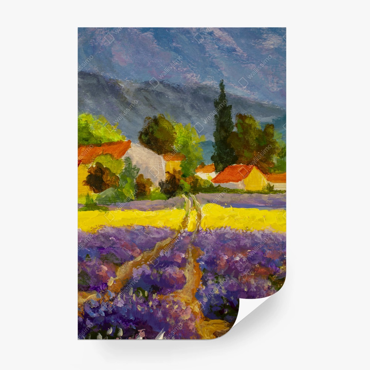 Wall mural lavender fields at sunset • Wallissimo®