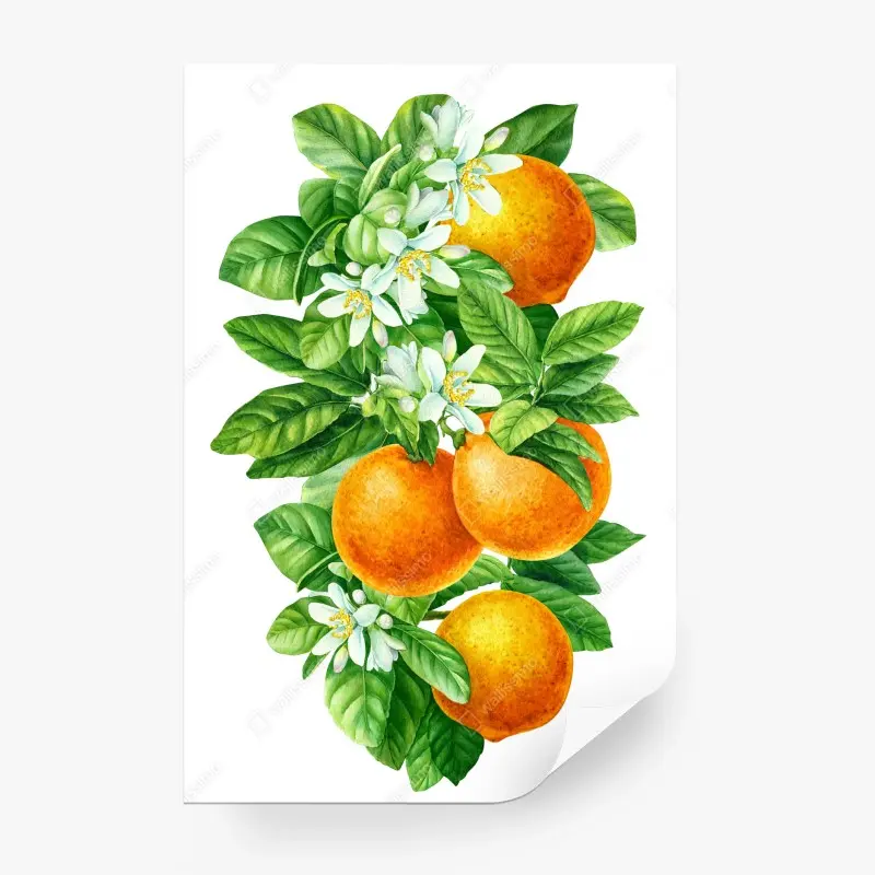 Wall mural citrus blossoms and ripe oranges