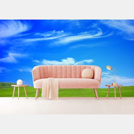 Wall mural green meadow under blue sky • Wallissimo®