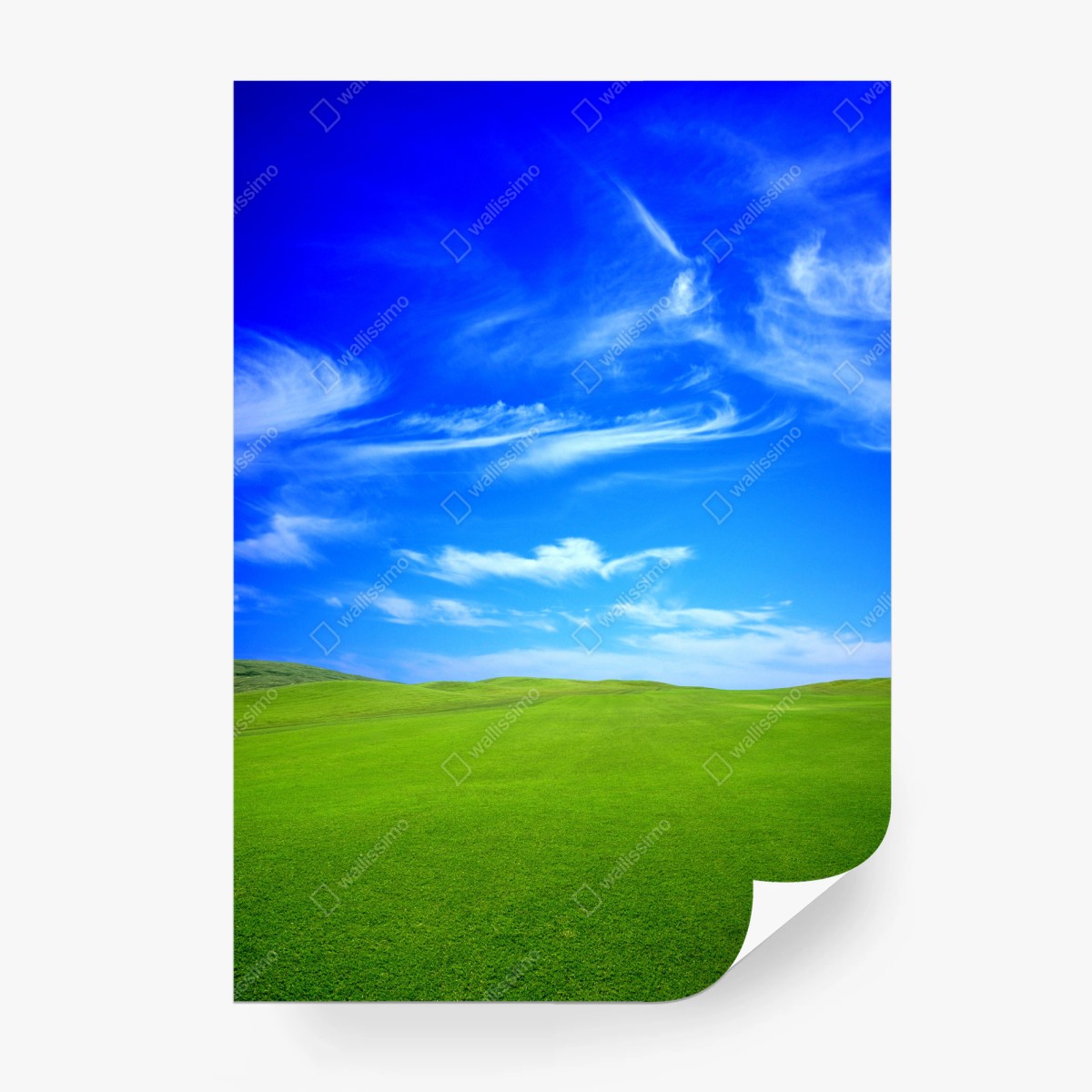 Wall mural green meadow under blue sky • Wallissimo®