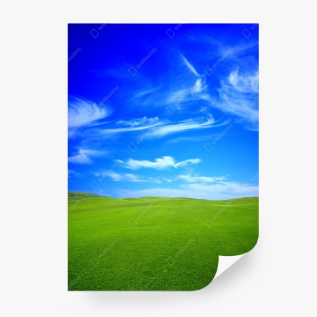 Wall mural green meadow under blue sky • Wallissimo®