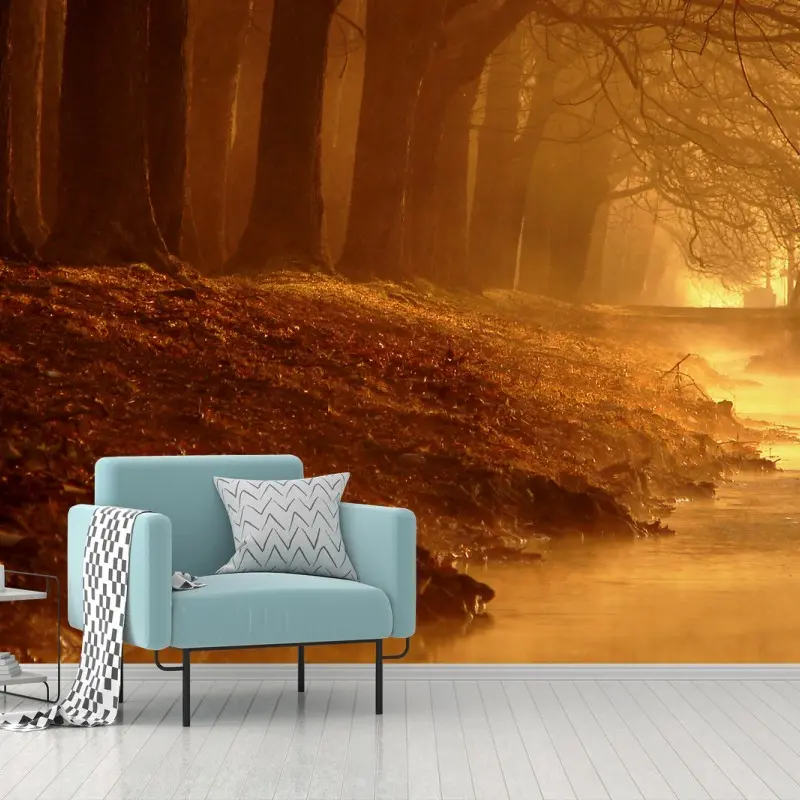 Wall mural golden morning forest stream