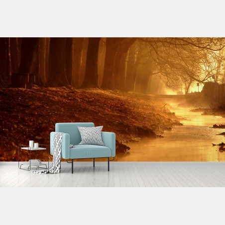 Wall mural golden morning forest stream • Wallissimo®