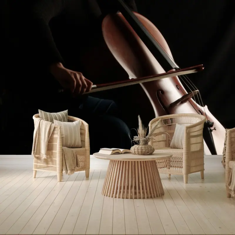 Wall mural shadowed cello player silhouette • Wallissimo® Wall mural shadowed cello player silhouette • Wallissimo®