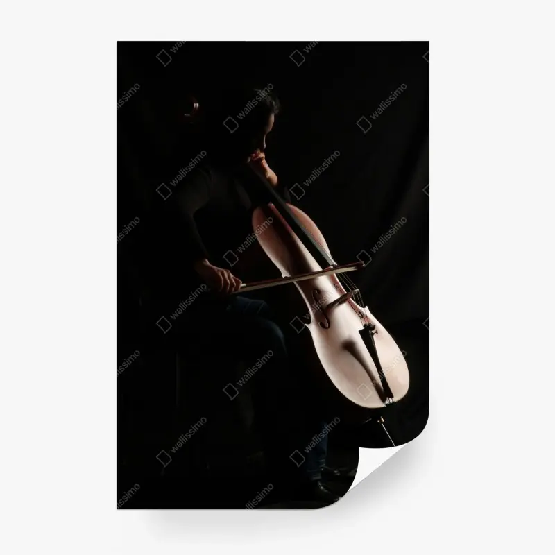 Wall mural shadowed cello player silhouette • Wallissimo® Wall mural shadowed cello player silhouette • Wallissimo®