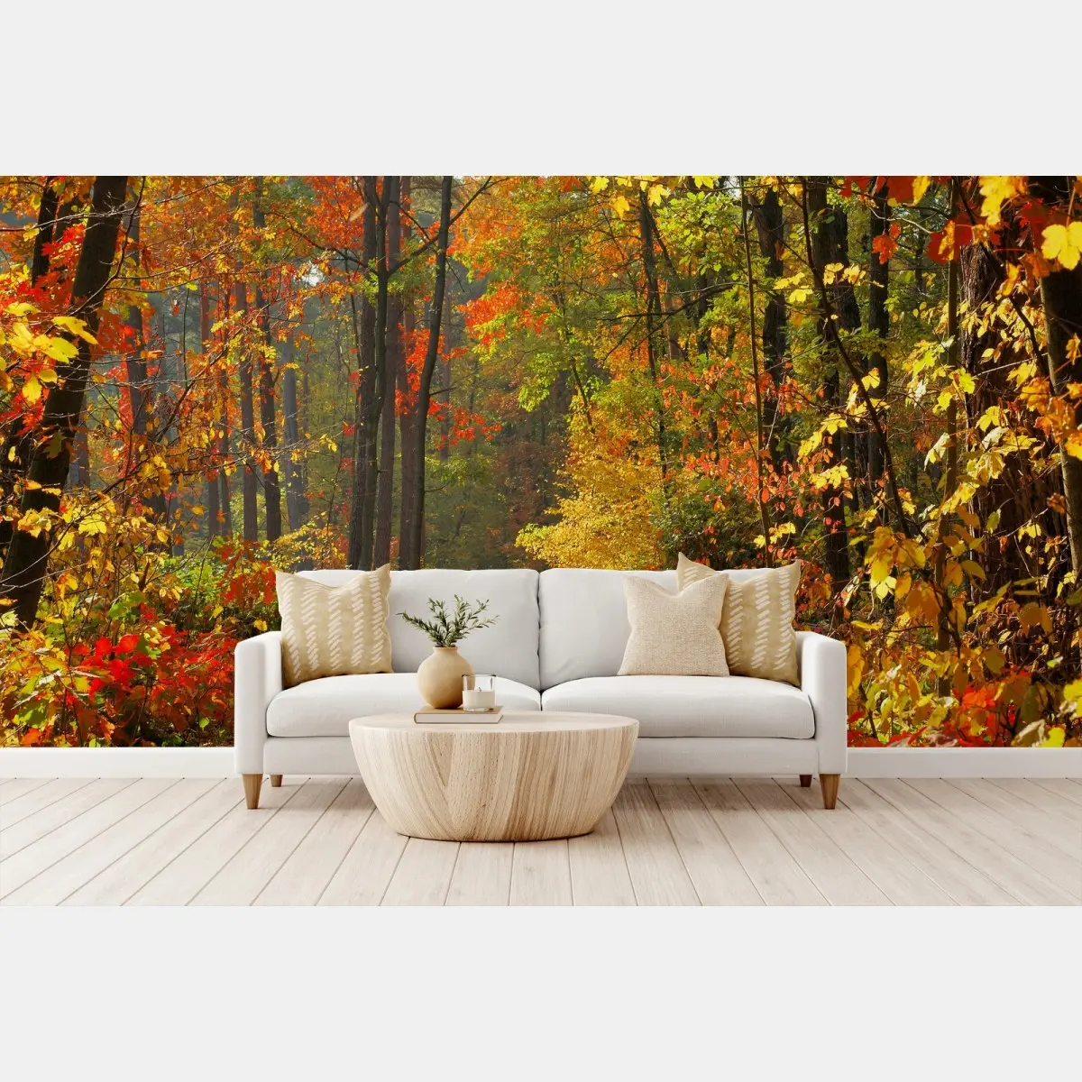 Wall mural autumn forest pathway in golden light • Wallissimo®
