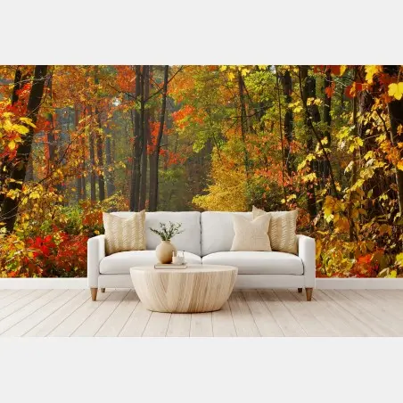 Wall mural autumn forest pathway in golden light • Wallissimo®
