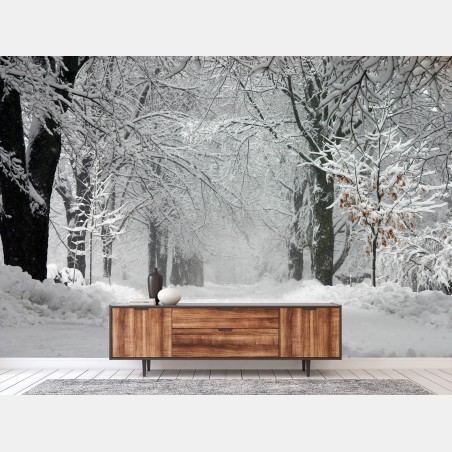 Wall mural serene winter forest pathway • Wallissimo®