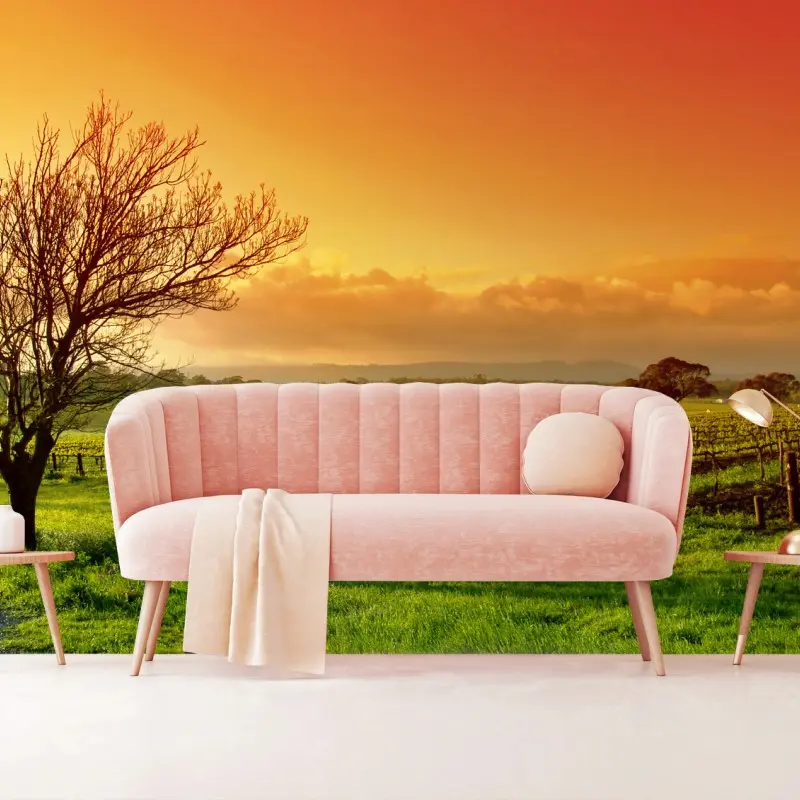 Wall mural sunrise over vineyard fields