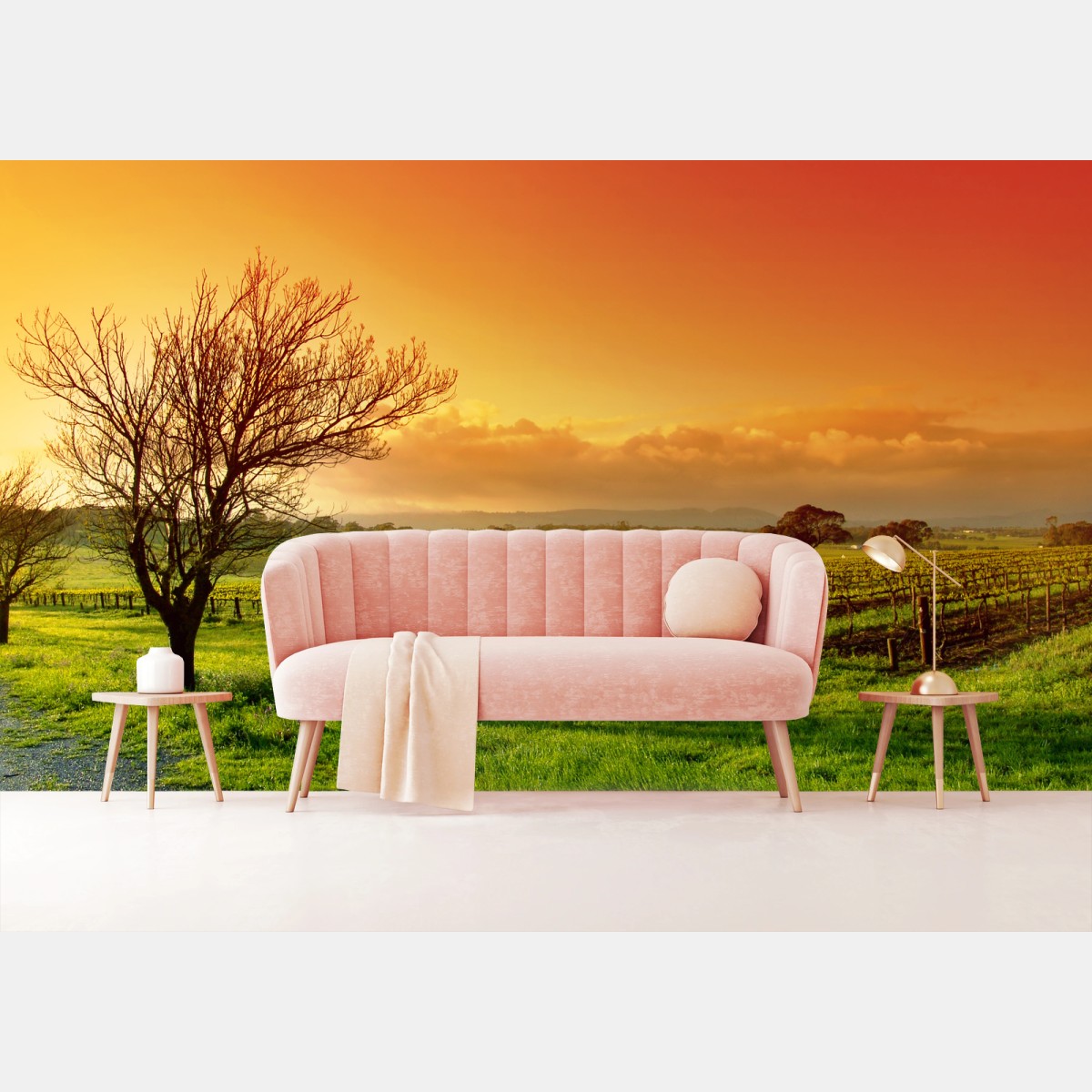 Wall mural sunrise over vineyard fields • Wallissimo®