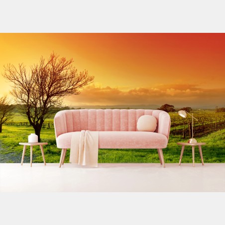 Wall mural sunrise over vineyard fields • Wallissimo®