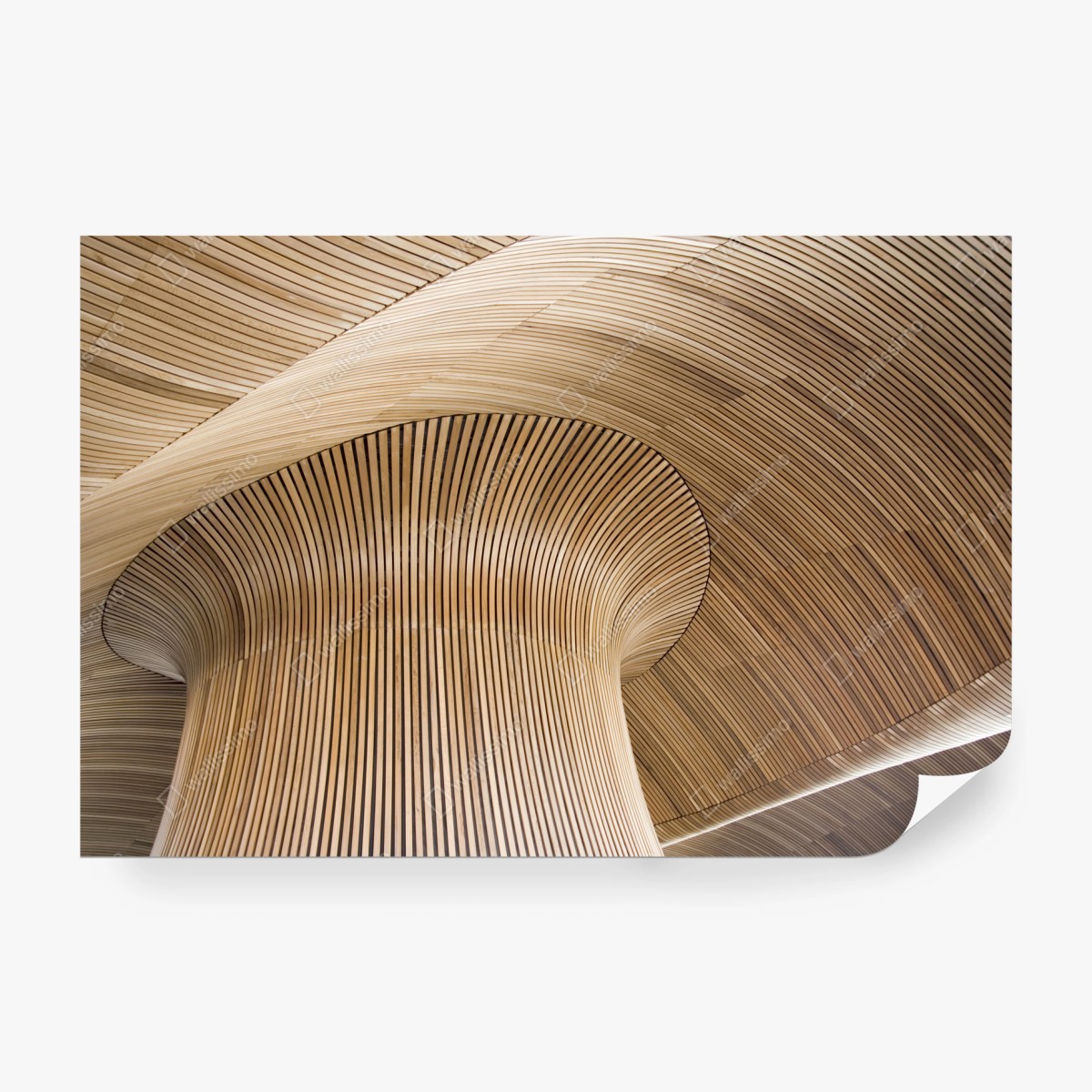 Wall mural sculptural wooden ceiling waves • Wallissimo®