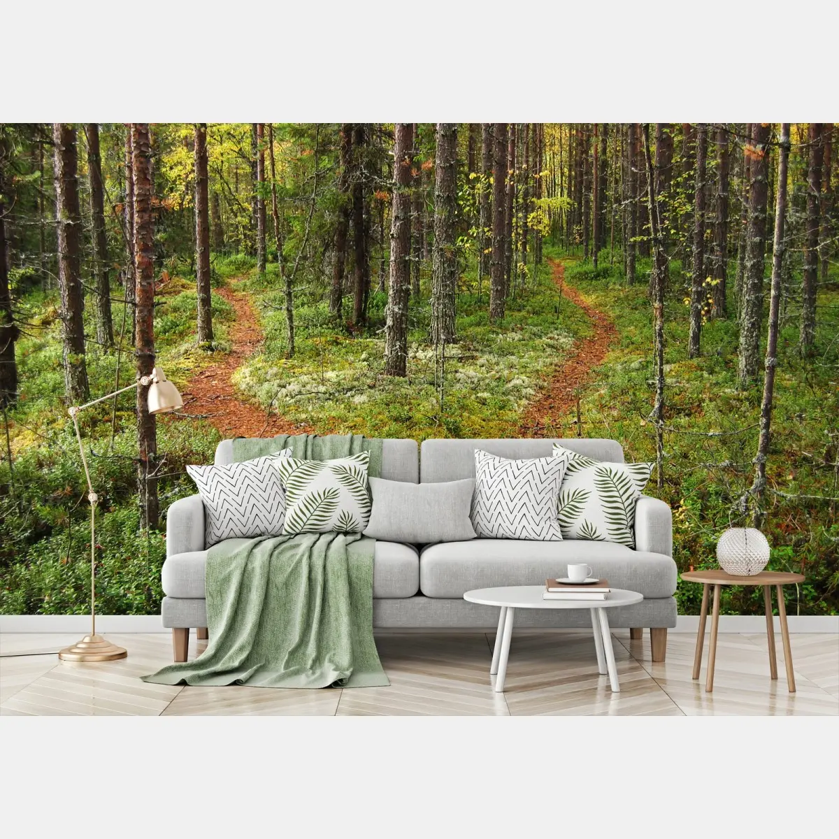 Wall mural serene forest fork: pine trail • Wallissimo®