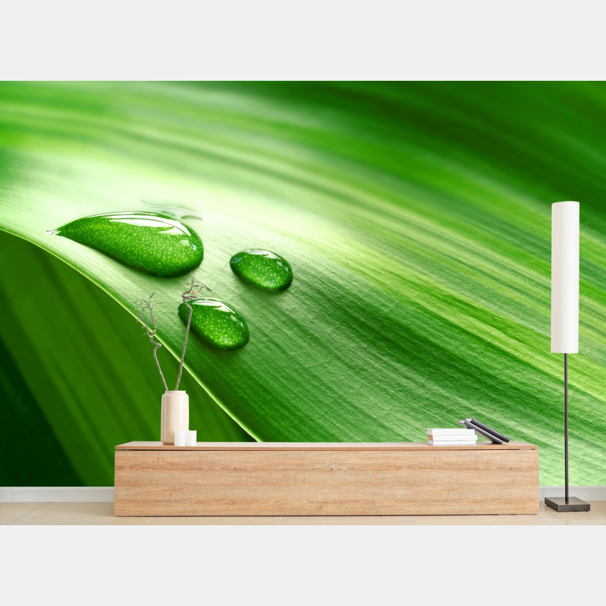 Wall mural fresh green leaf with dewdrops • Wallissimo®