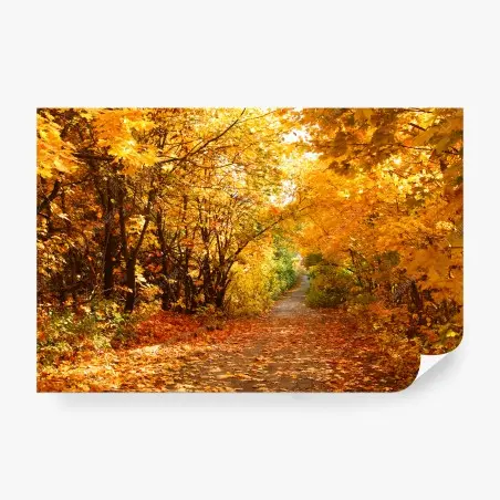 Wall mural golden autumn pathway through the trees • Wallissimo®