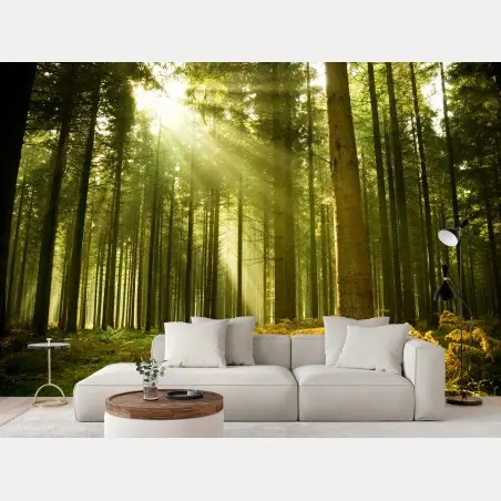 Wall mural sunlit pine forest • Wallissimo®