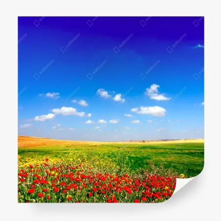 Wall mural vibrant poppy meadow under blue sky • Wallissimo®