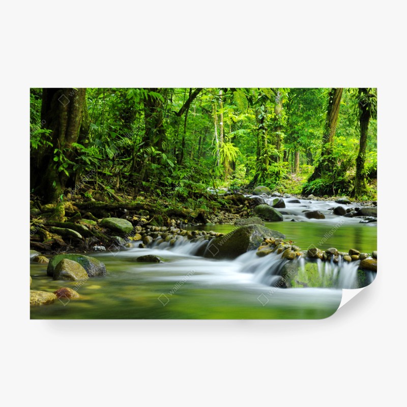 Wall mural serene forest stream