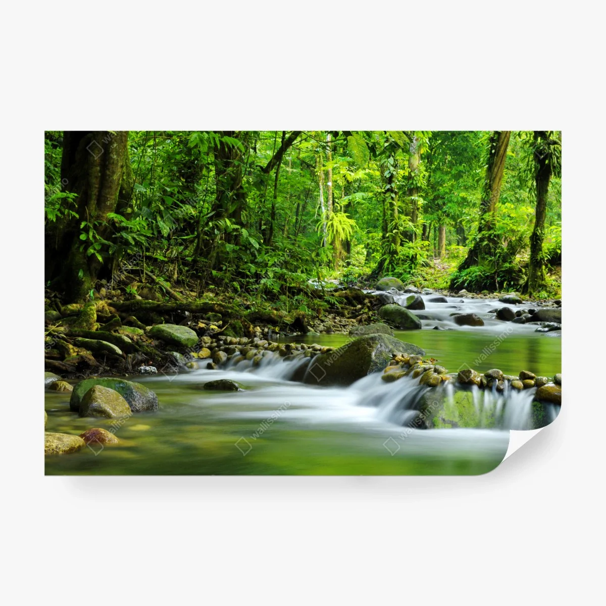 Wall mural serene forest stream • Wallissimo® Wall mural serene forest stream • Wallissimo®