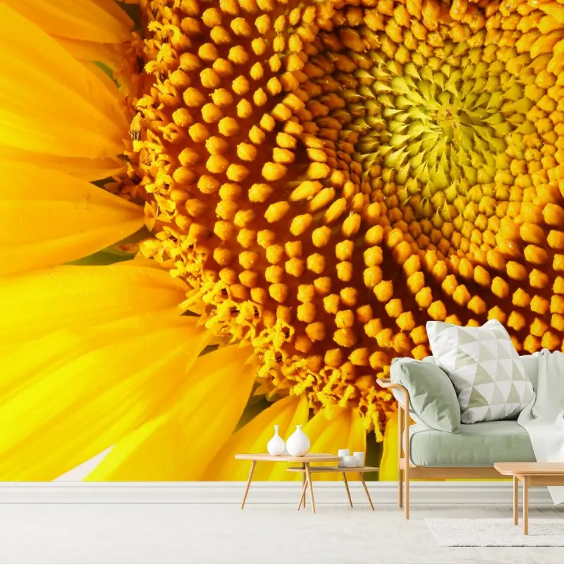 Wall mural sunflower with heart-shaped center