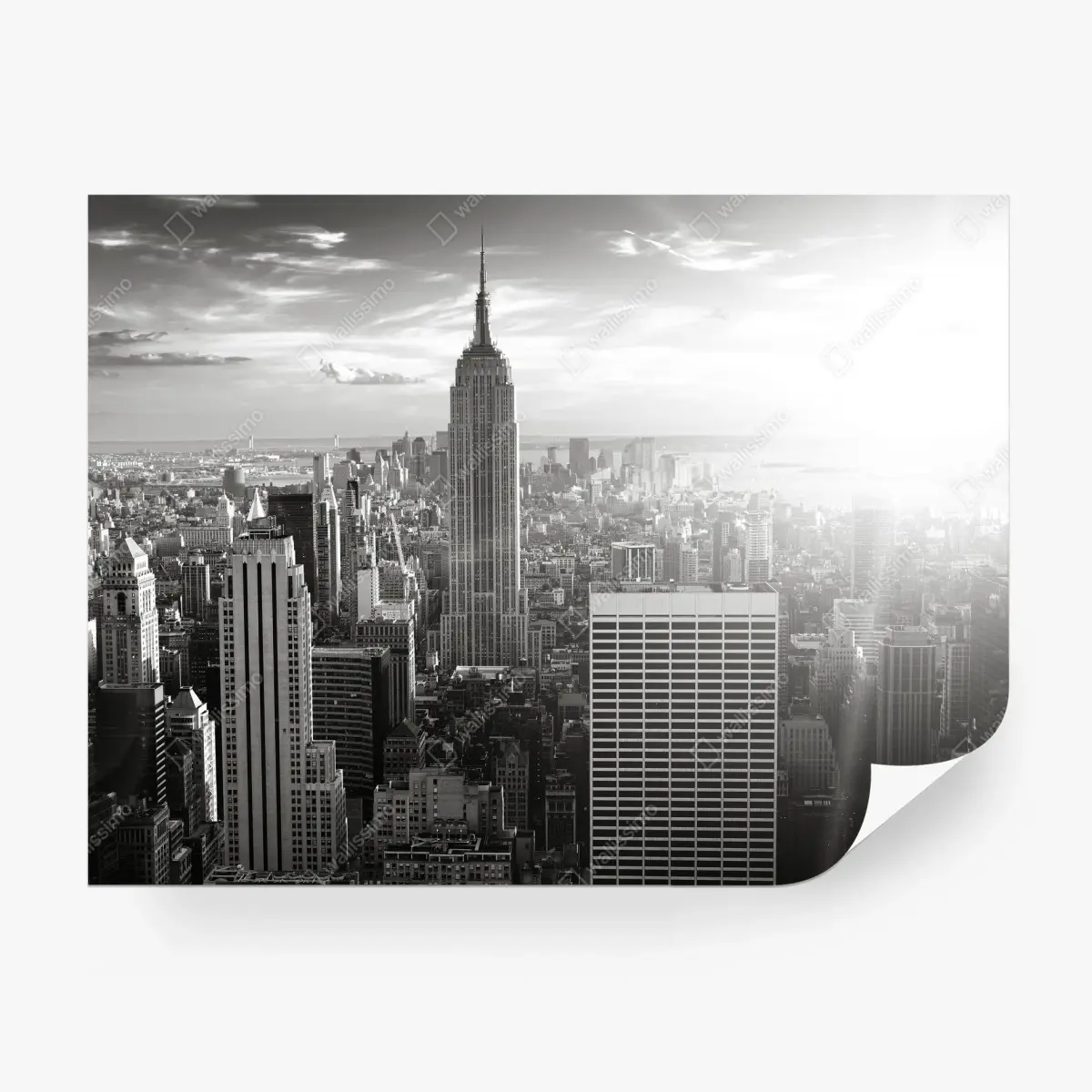 Wall mural black and white Manhattan skyline • Wallissimo®
