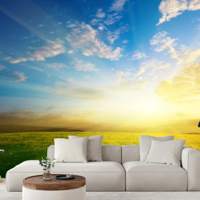 Wall mural sunlit meadow at sunrise
