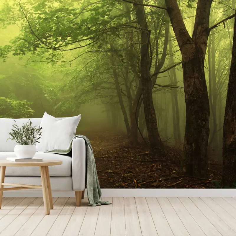 Wall mural misty green forest path