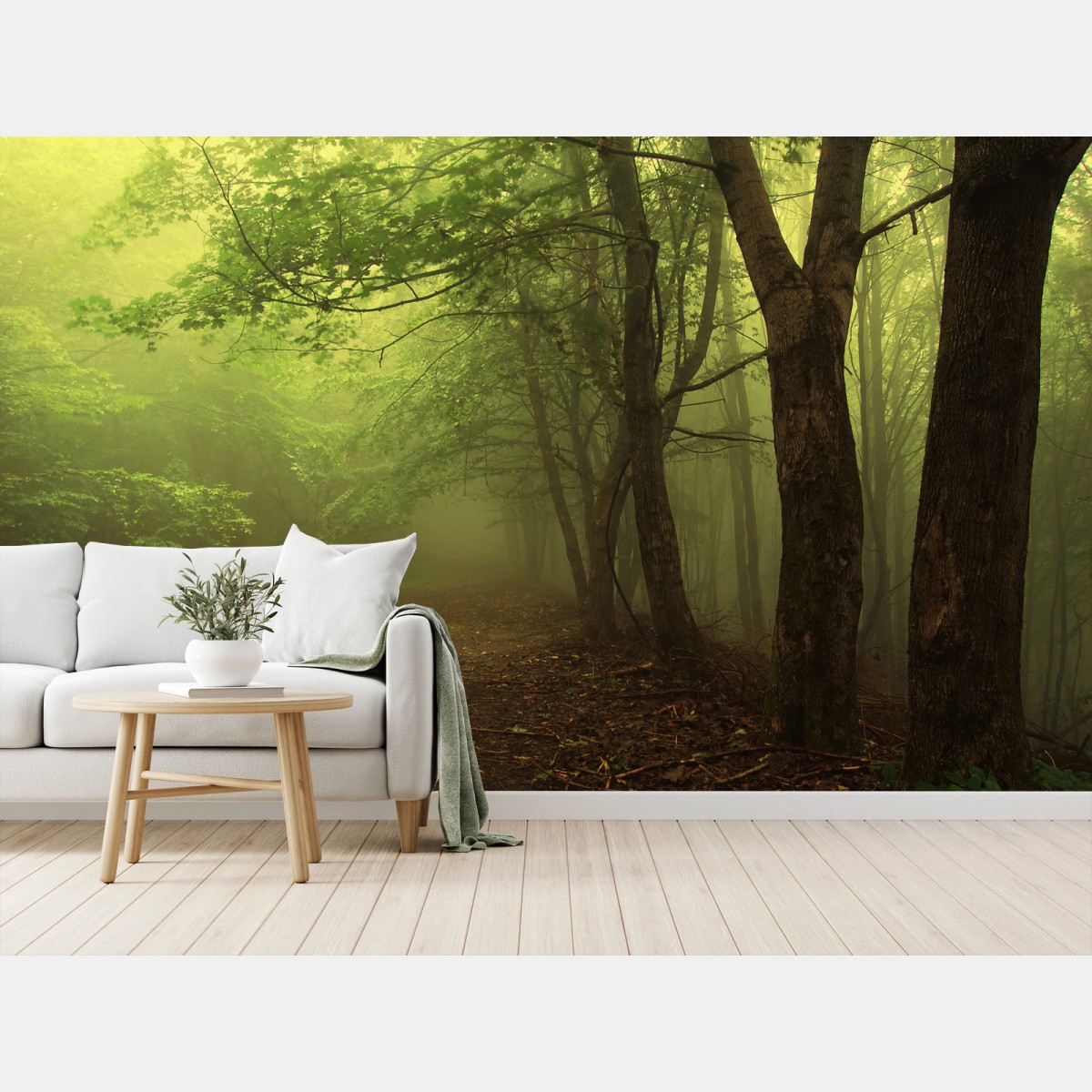 Wall mural misty green forest path • Wallissimo®