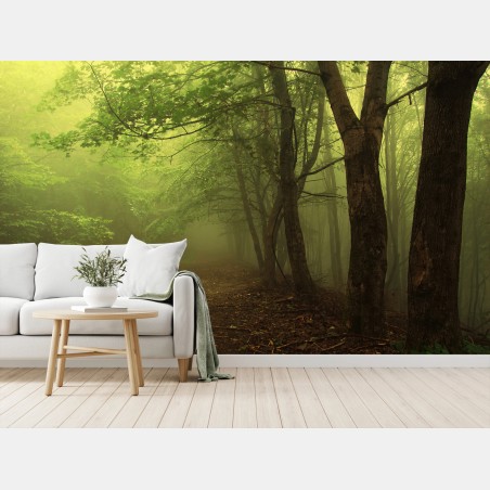 Wall mural misty green forest path • Wallissimo®