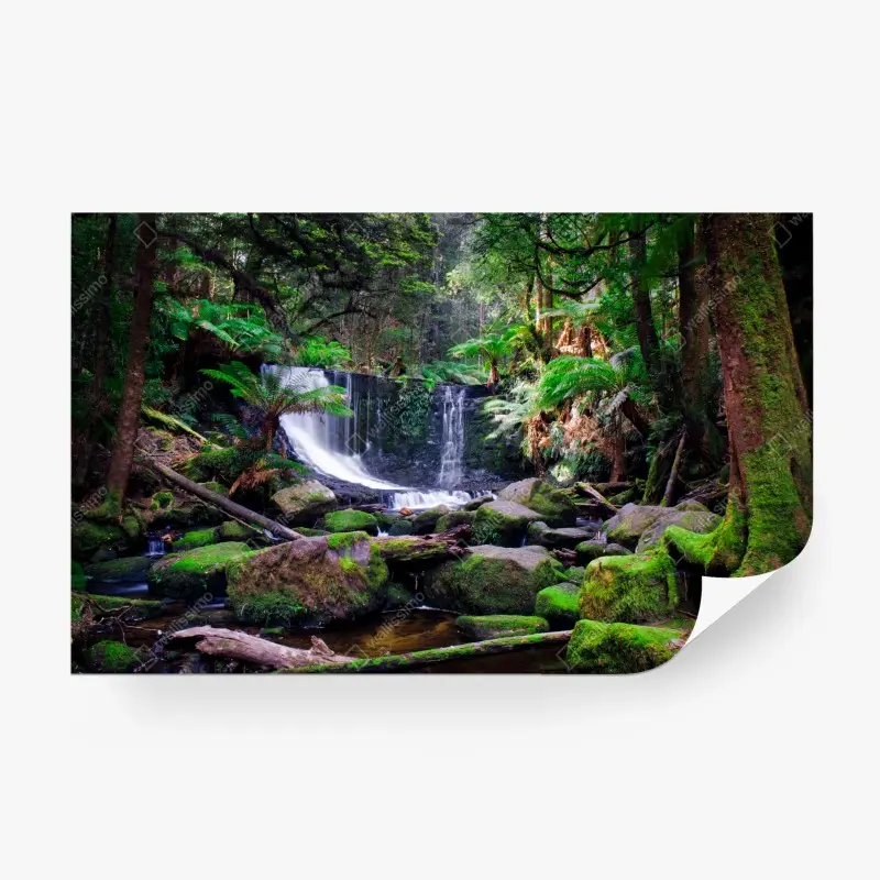 Wall mural moss-covered waterfall in lush forest