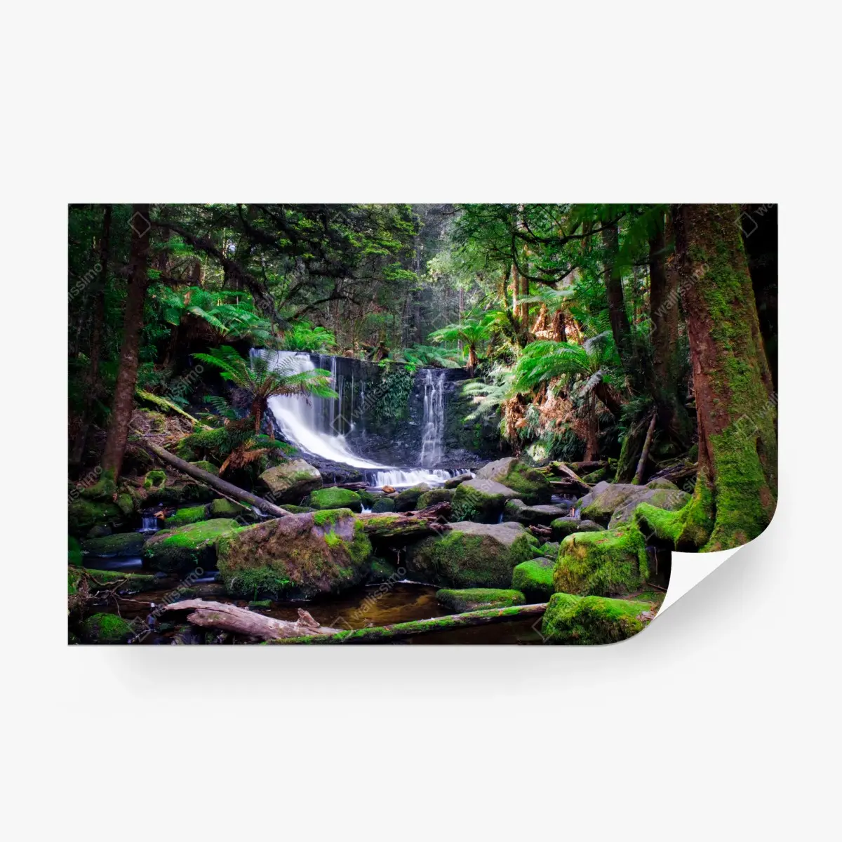 Wall mural moss-covered waterfall in lush forest • Wallissimo®