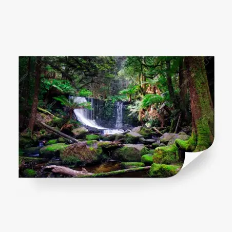 Wall mural moss-covered waterfall in lush forest • Wallissimo®