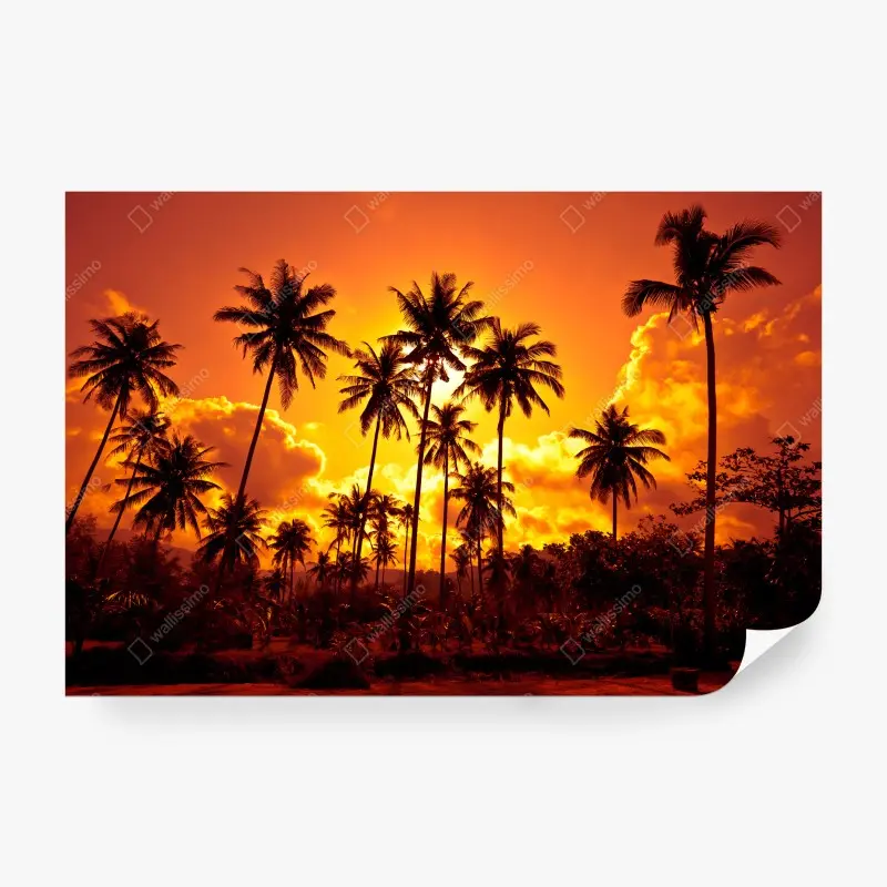 Wall mural tropical sunset palm silhouettes