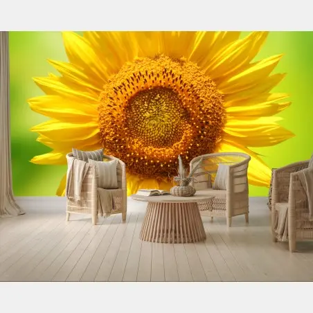 Wall mural bright sunflower close-up on green background • Wallissimo®