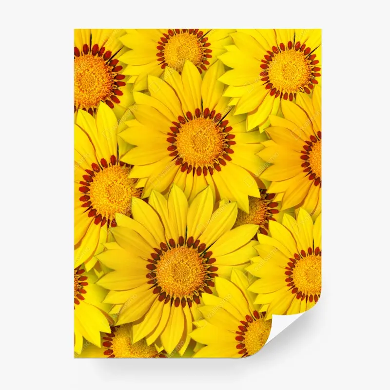 Wall mural vibrant yellow floral collage
