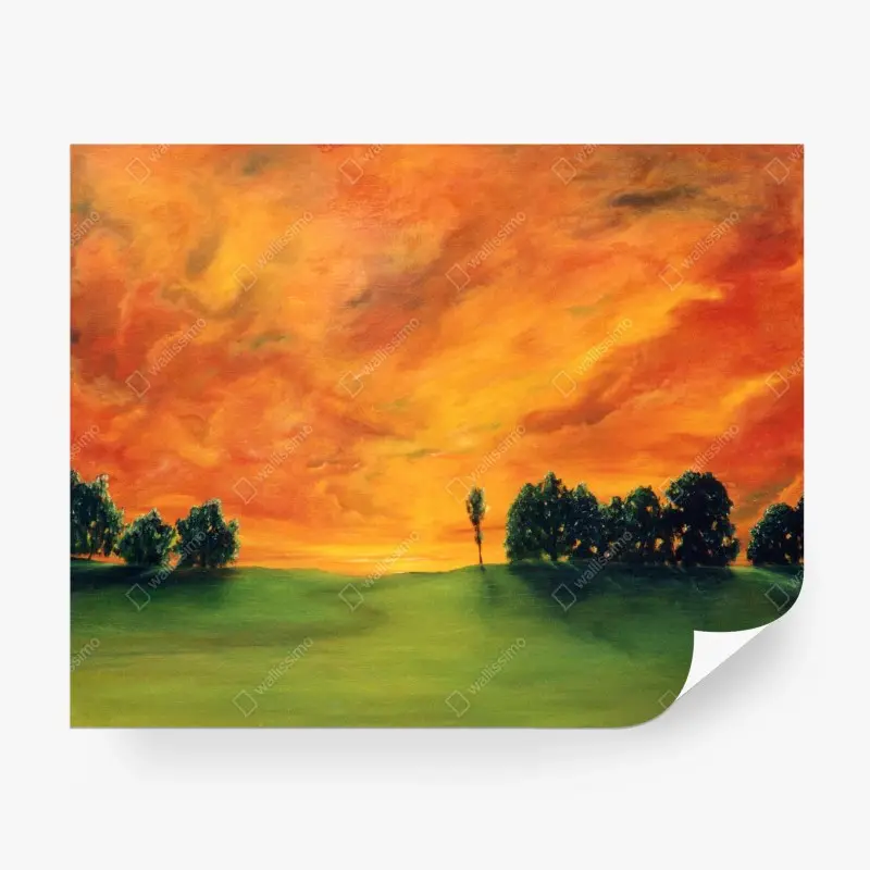 Wall mural fiery sunset over green meadow