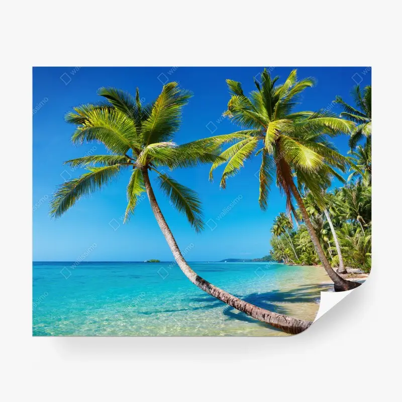 Wall mural tropical palms at Kood Island