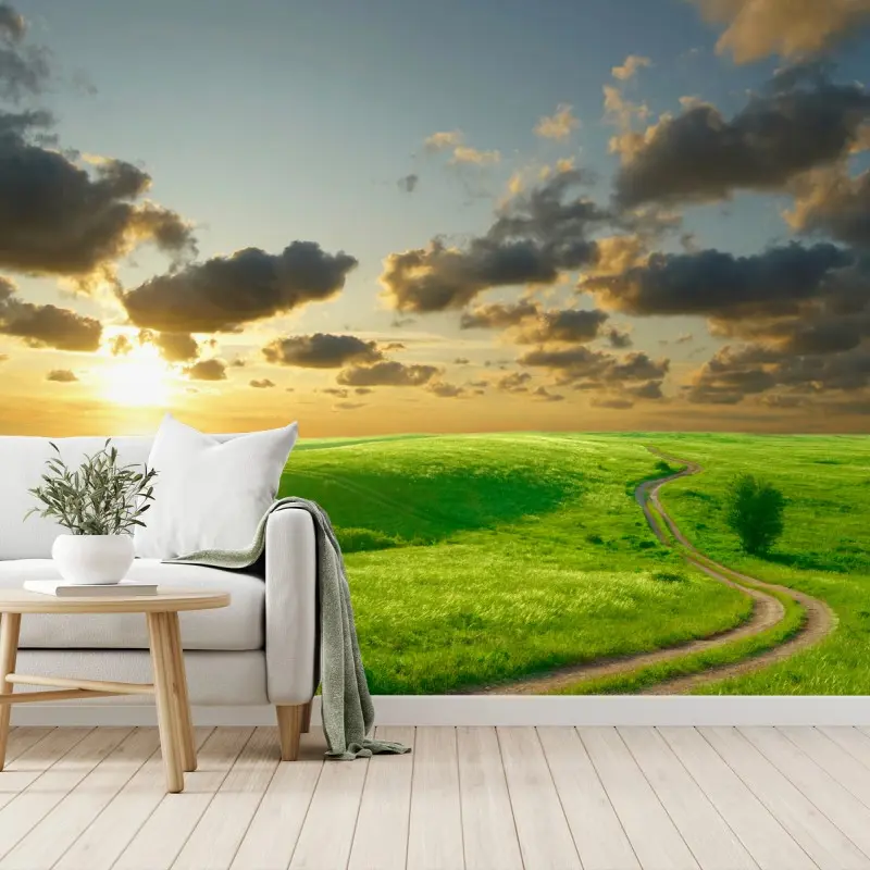 Wall mural sunset over winding green meadow