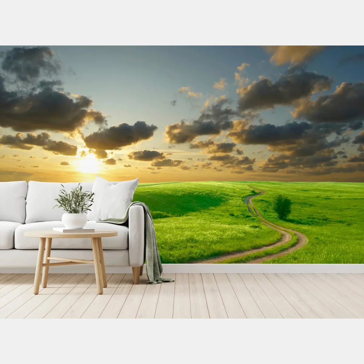 Wall mural sunset over winding green meadow • Wallissimo®
