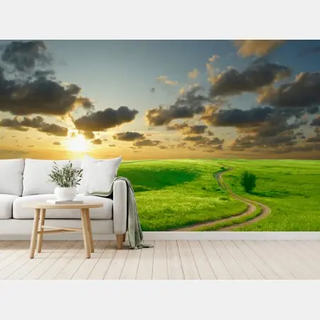 Wall mural sunset over winding green meadow • Wallissimo®