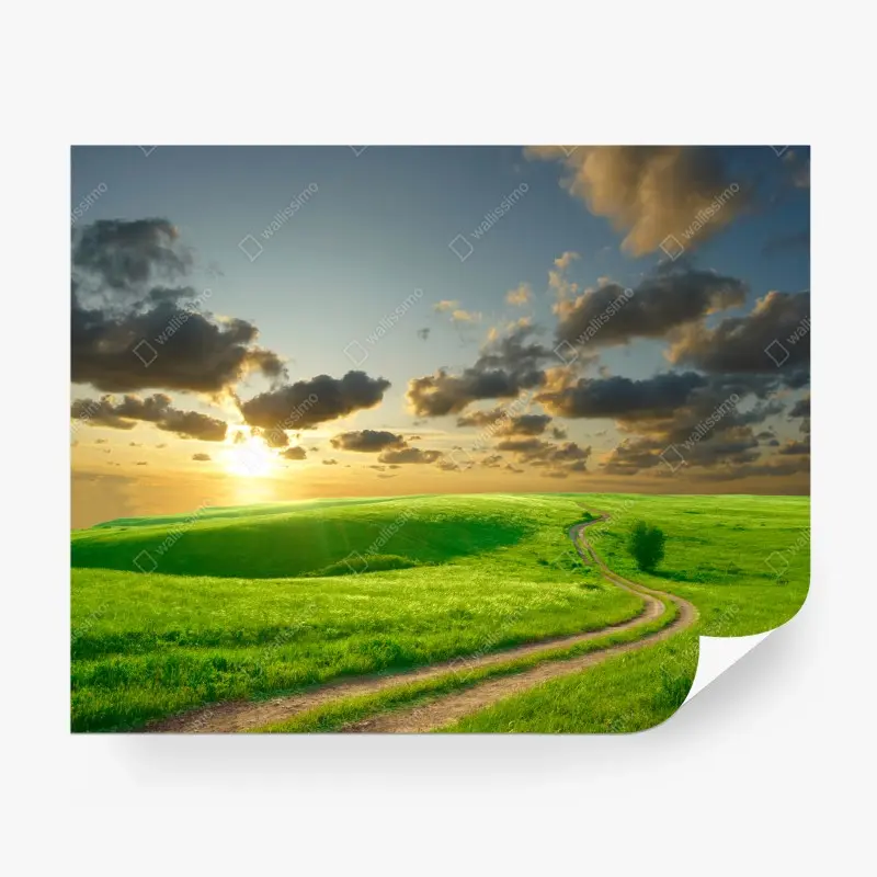Wall mural sunset over winding green meadow