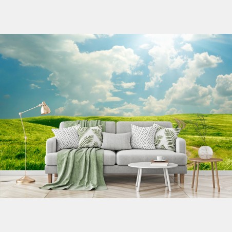 Wall mural sunlit country path through green meadow • Wallissimo®