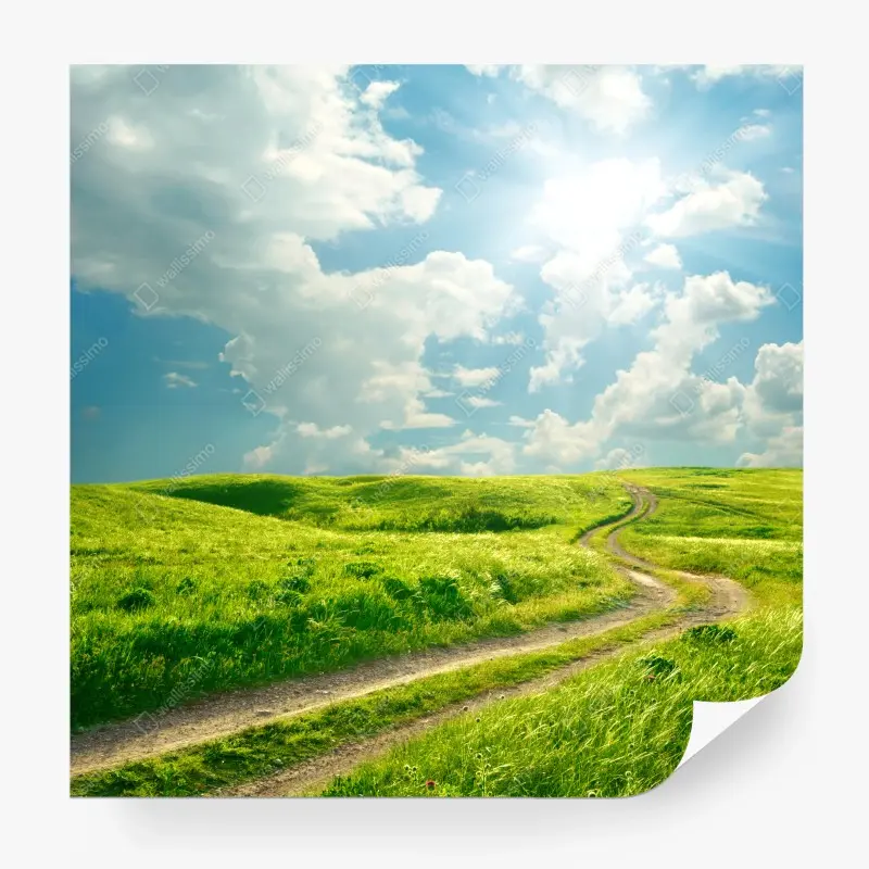 Wall mural sunlit country path through green meadow