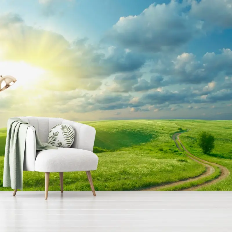 Wall mural sunlit summer meadow with winding road